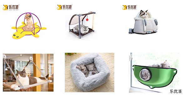 Raising cats to heal people